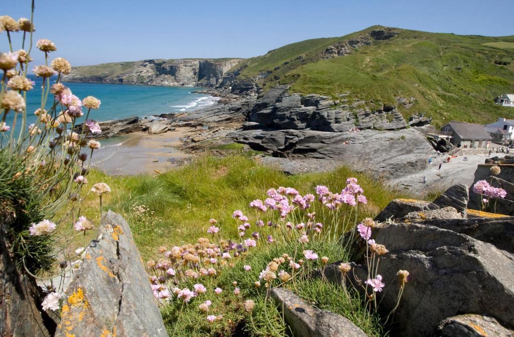 Port William Inn Tintagel Zewnętrze zdjęcie